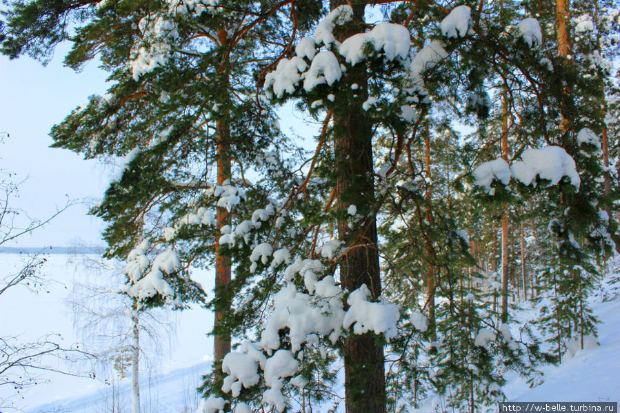 Зимнее озеро Иматра, Финляндия