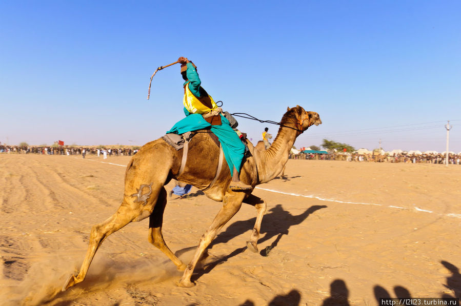 Джайсалмер: фестиваль пустыни Джайсалмер, Индия