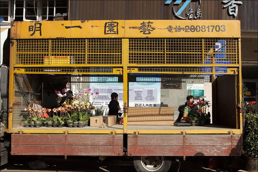 Рынки Коулуна. Цветочный, птичий, аквариумный Коулун, Гонконг