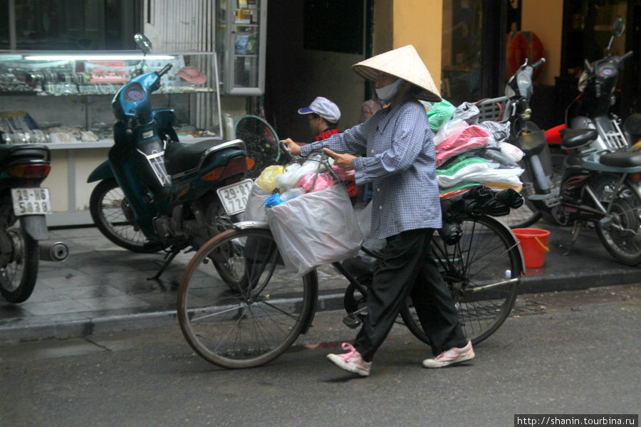 Вымирающий вид - велосипедисты Ханой, Вьетнам