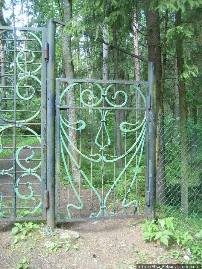 Кто видел эти ворота в Комарово? Отзовитесь!