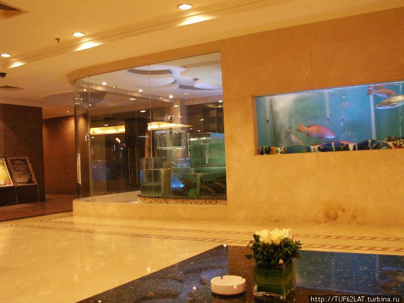 В холе гостиницы находиться ресторан, а рыбу можно выбрать из этих аквариумов Ханой, Вьетнам