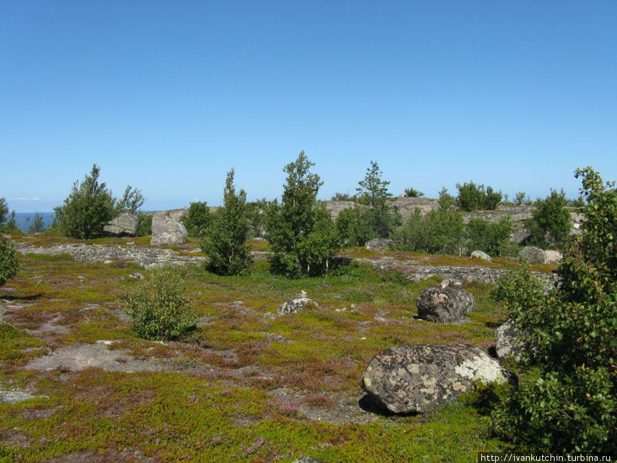 Архипелаг Кузова. Трекинг Архипелаг Кузова, Россия