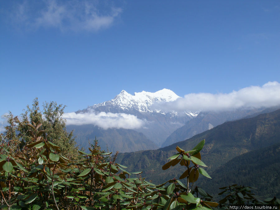 А это гребень с рододендроновой стороны Госайкунд, Непал