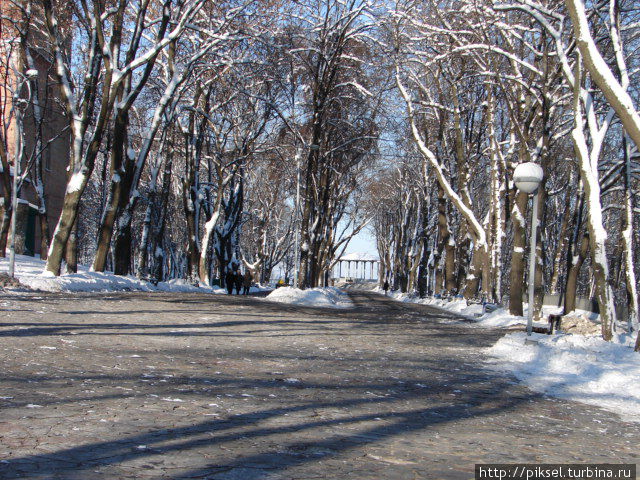 Заснежанными аллеями парка Киев, Украина