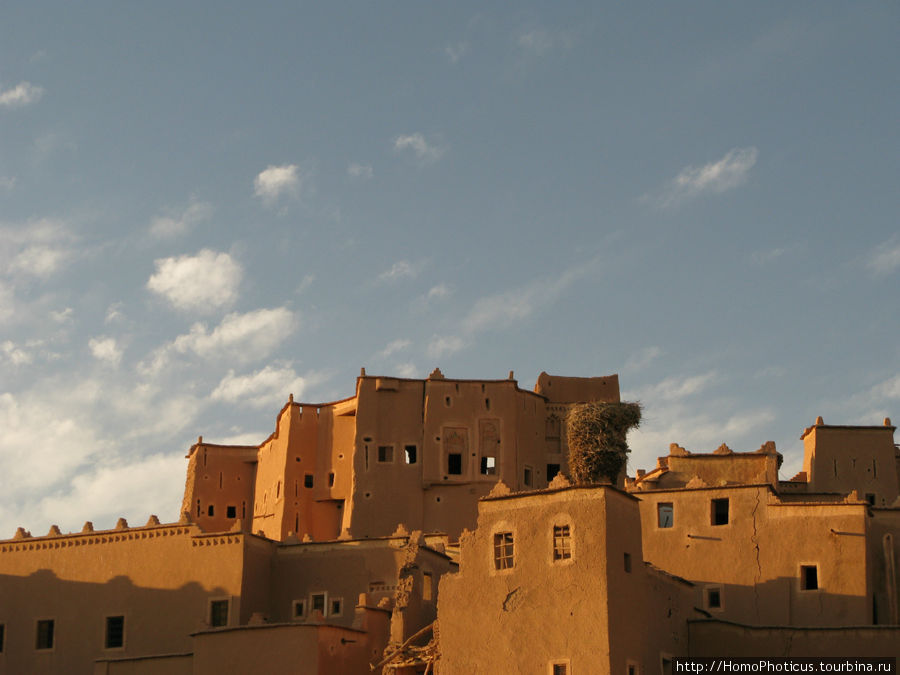 Аист на крыше Варзазат, Марокко