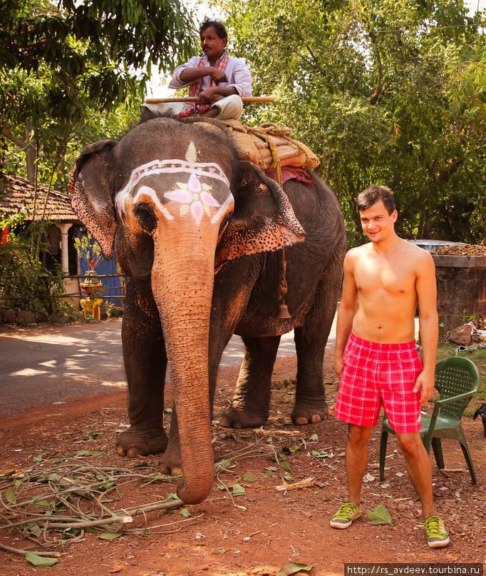 Тот самый слоник, который жил в храме! Вагатор, Индия