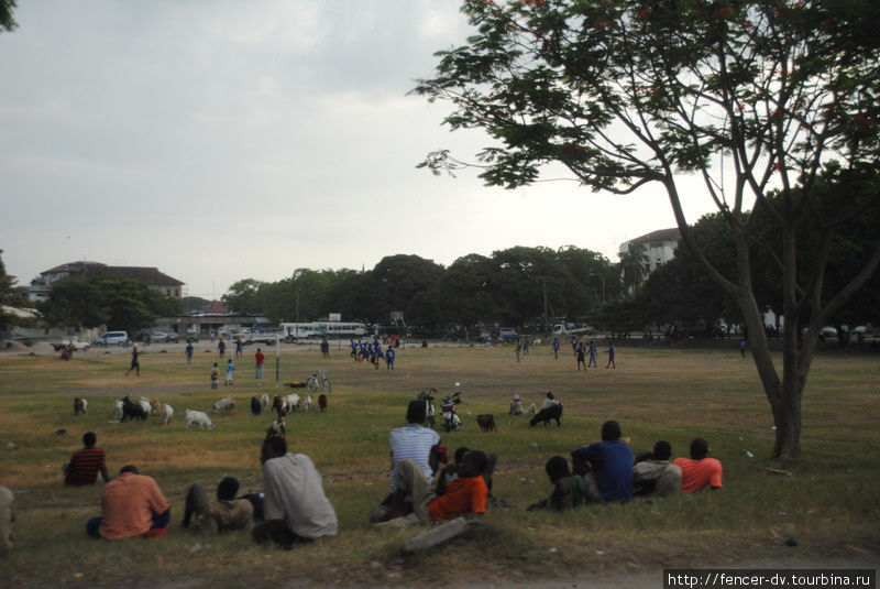 Футбол — одно из немногих общедоступных развлечений Остров Занзибар, Танзания