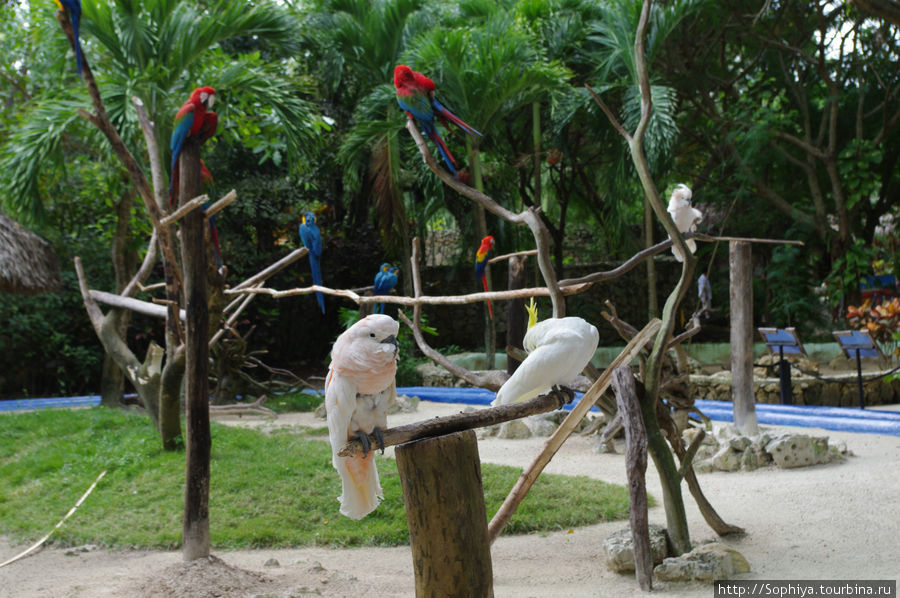 Доминикана. Манати парк. Доминиканская Республика