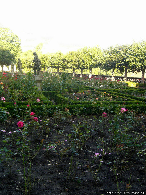 В Розовом саду Бамберг, Германия