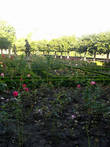В Розовом саду