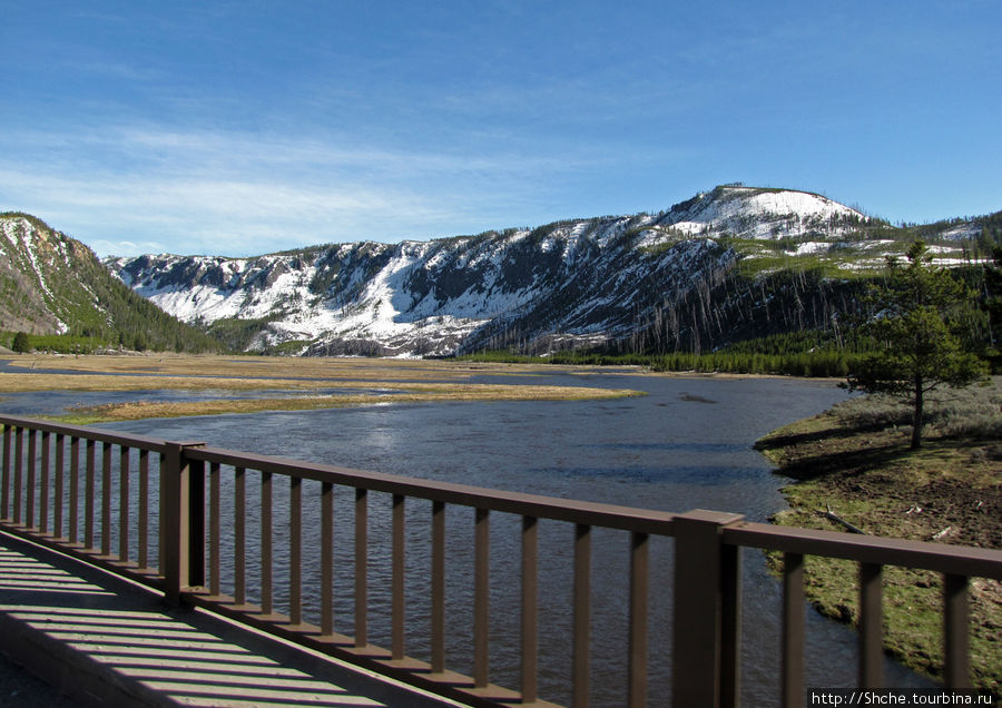 Река Мэдисон (Madison River) - 23 километра пути Йеллоустоун Национальный Парк, CША