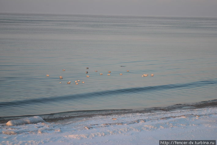 Холодное море Кранца на закате Зеленоградск, Россия