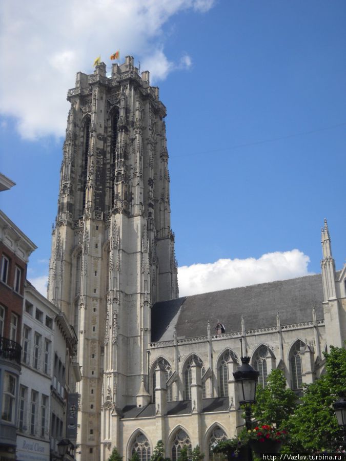 Собор Мехелен (Антверпен), Бельгия