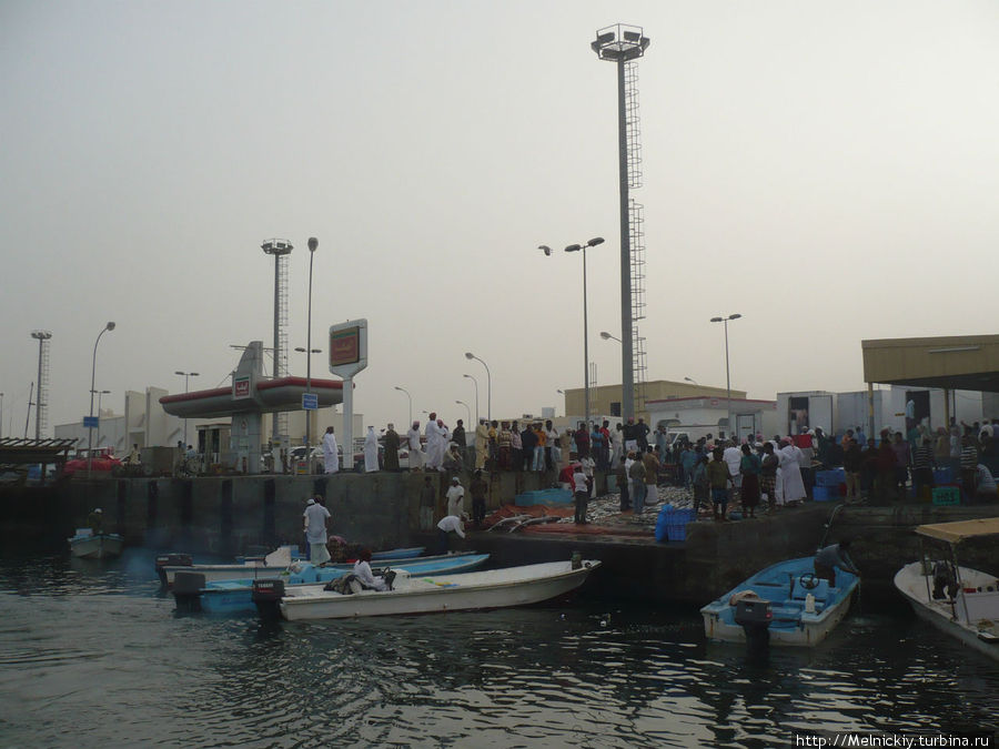 Рыбный рынок в порту Аль-Мина Регион Мусандам, Оман