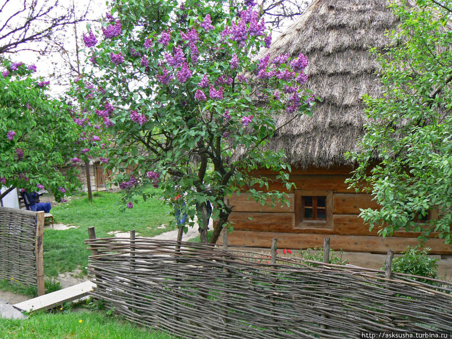 Весьма колоритно смотрятся дома, крытые соломой. Ужгород, Украина