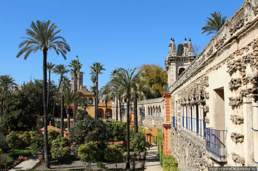 Королевский дворец  (Алькасар) настоящее чудо света Севилья, Испания