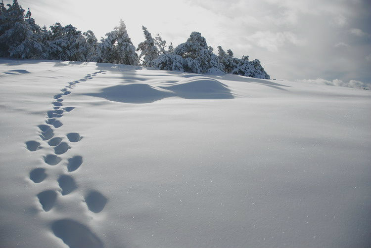 А идти тяжело, однако. Снег на пути. Республика Крым, Россия