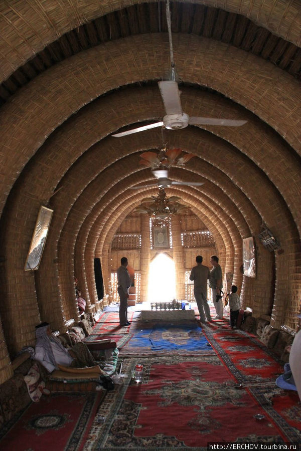В гостях у шейха Провинция Басра, Ирак