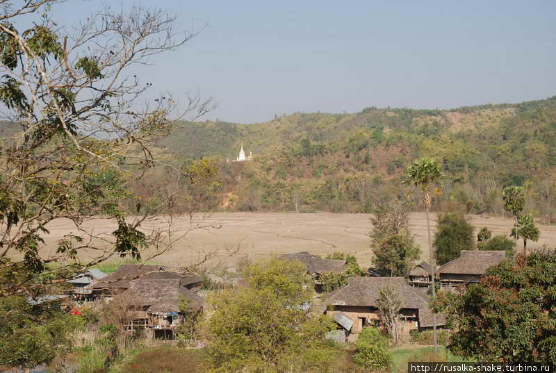 Деревня, где выращивают бойцовских петухов Кьянгтонг, Мьянма