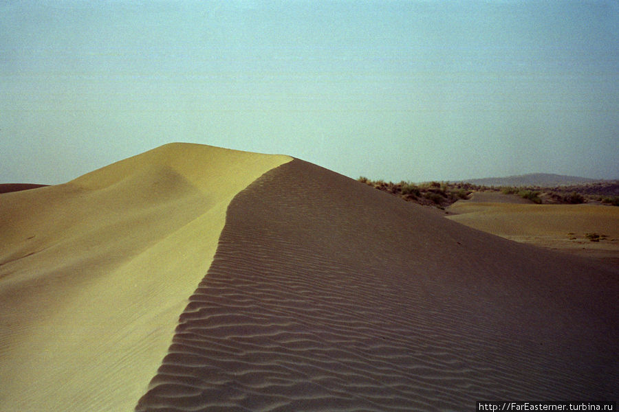 Трехдневное сафари на верблюдах по пустыне Тар Джайсалмер, Индия