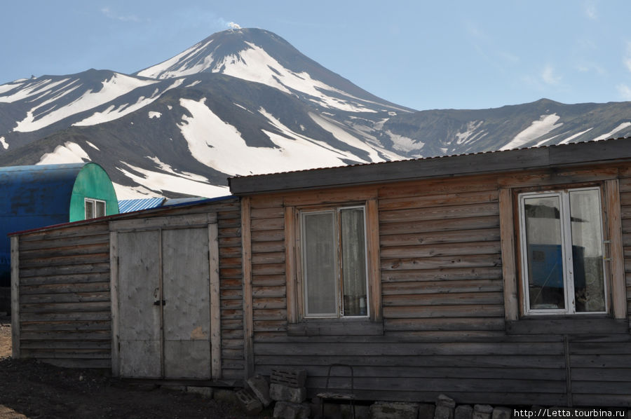 Домашние евражки Авачинская сопка (2741м), Россия