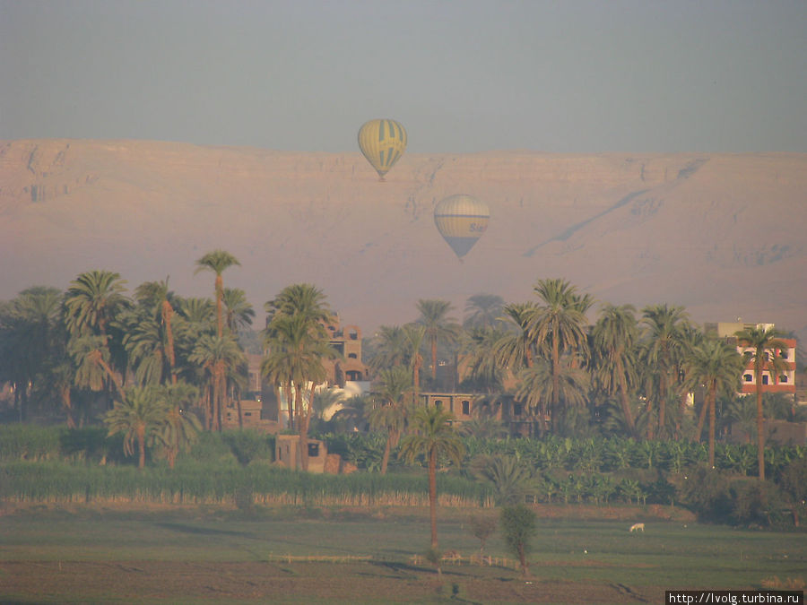 В погоне за мечтой (Макади-Луксор) Макади-Бей, Египет