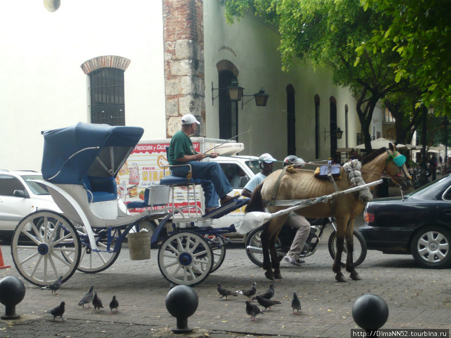Лошади у них конечно, измученные. Санто-Доминго, Доминиканская Республика