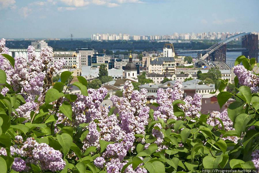 Зеленый город Киев Киев, Украина