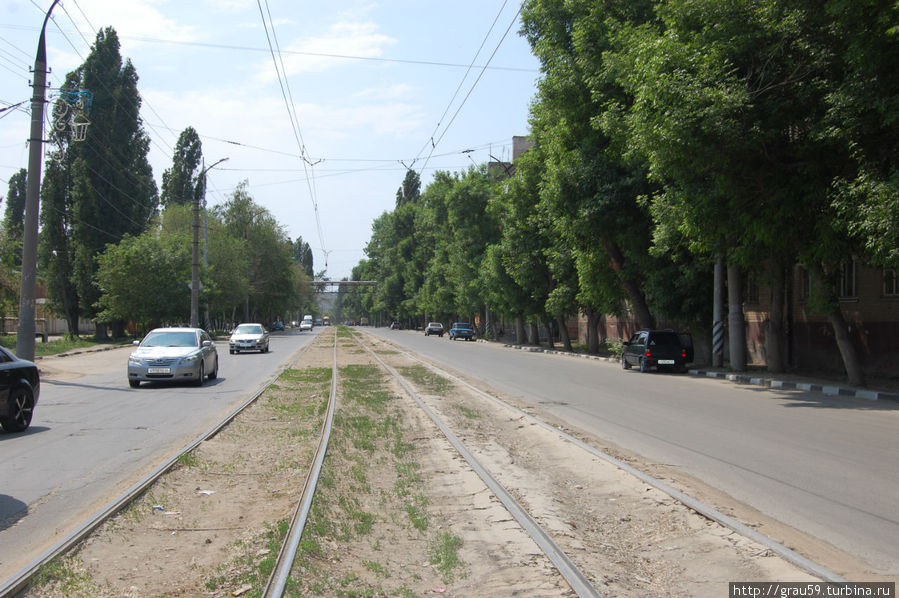 Огородная Саратов, Россия