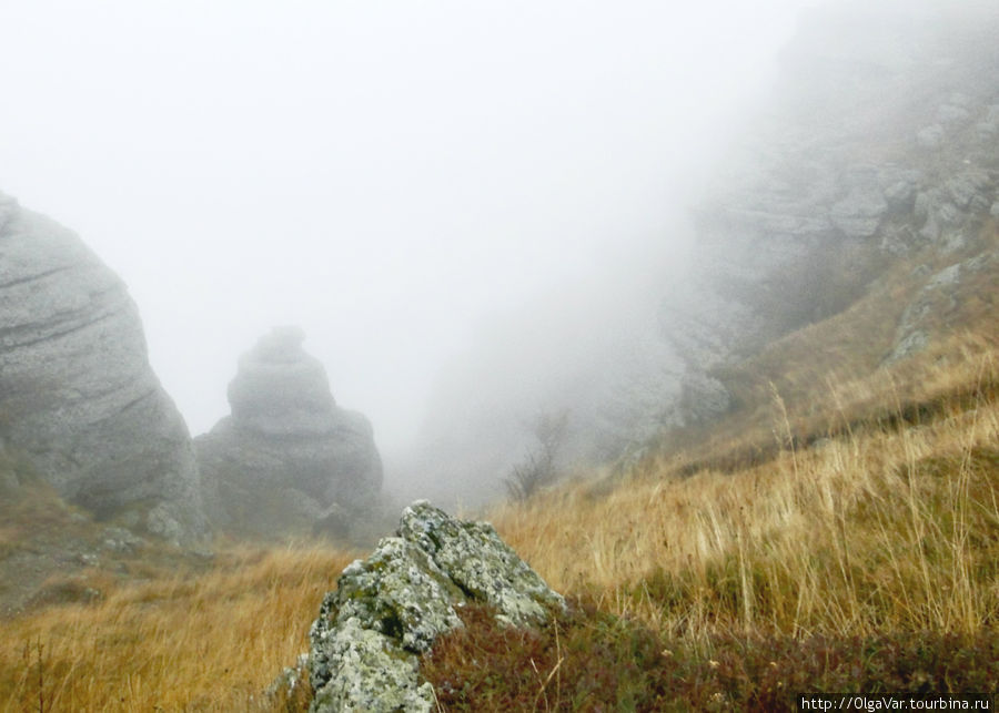 Сквозь пелену тумана… к заснеженным островкам Алушта, Россия