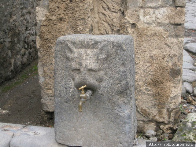 Вот кто-то кошачий Помпеи, Италия