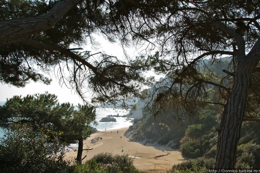 вид на пляж Sa Boadella Ллорет-де-Мар, Испания