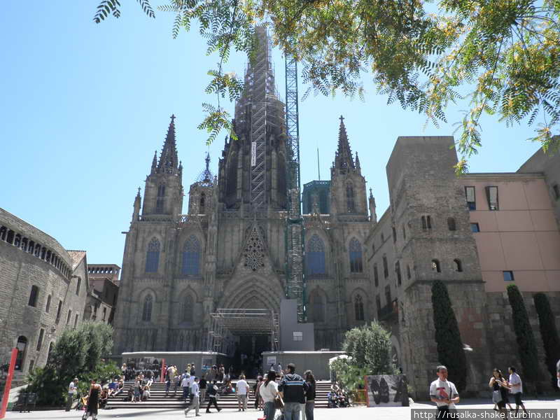 Кафедральный собор Барселоны Барселона, Испания