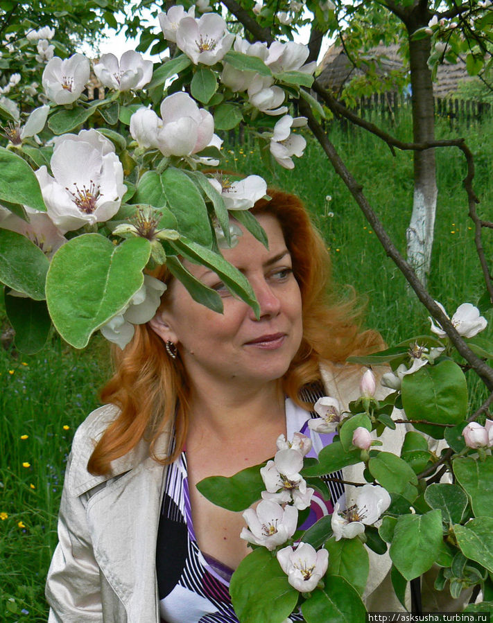 Весна в Ужгородском скансене Ужгород, Украина