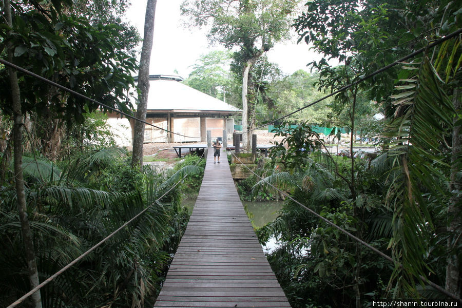 Начало — и конец — тропы у центра посетителей национального парка Кхао-Яй Национальный Парк, Таиланд