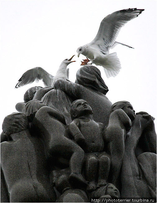 Чайки играют в царя горы на вершине Монолита. Осло, Норвегия