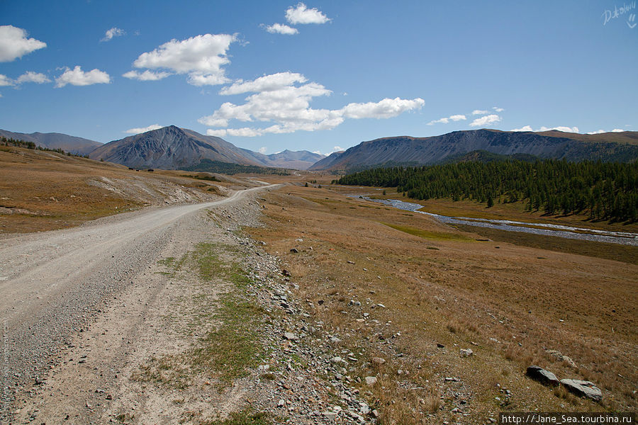 И дорога тянется вдоль рек. То ближе, то дальше от них... но лучше дальше, спокойнее :) Республика Алтай, Россия