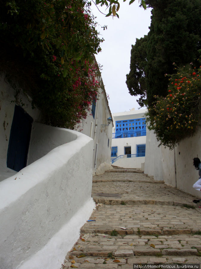 Сиди-бу-Саид Тунис, Тунис