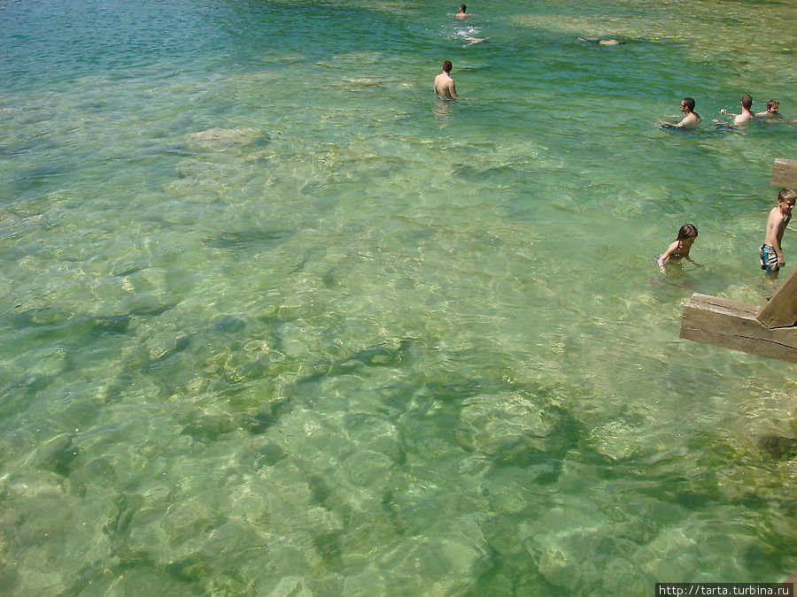 Кристально чистая вода Крки Далмация, Хорватия