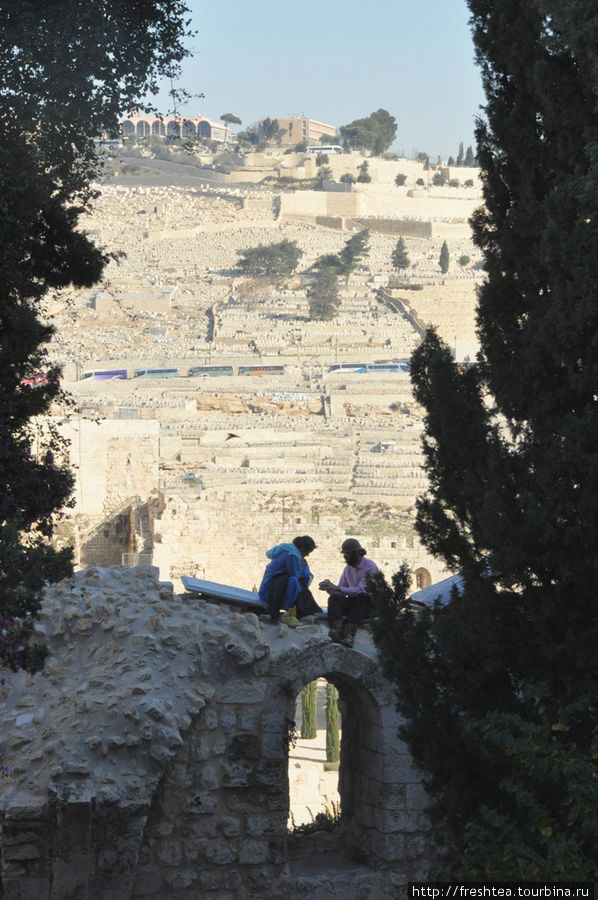Еврейский квартал Старого города: с видом на Масличную гору. Иерусалим, Израиль