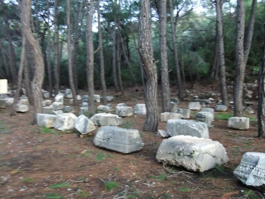 Тут же в роще сложены более-менее интересные/ценные камни, найденные археологами. Средиземноморский регион, Турция