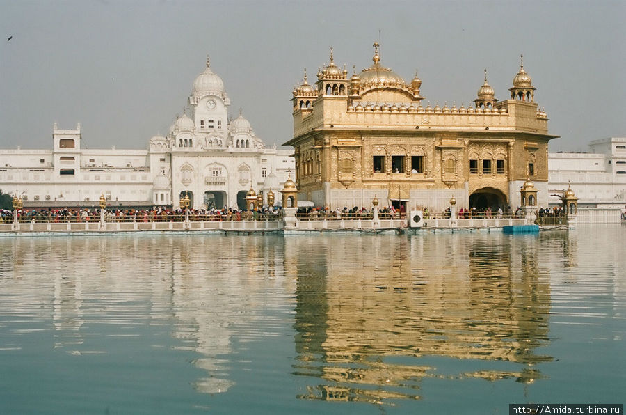 Amritsar. Golden Tample Чандигарх, Индия