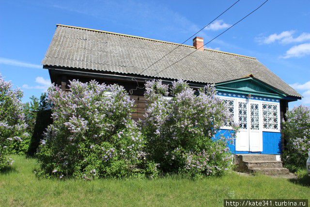 Как я в очередной раз съездила в деревню. Минск и область, Беларусь