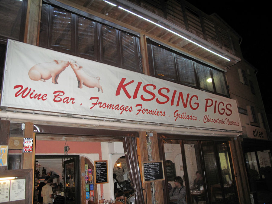 Kissing Pigs