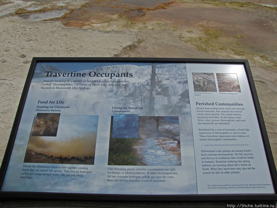 Террасы Мамонтовых горячих источников (Mammoth Hot Spring) Йеллоустоун Национальный Парк, CША