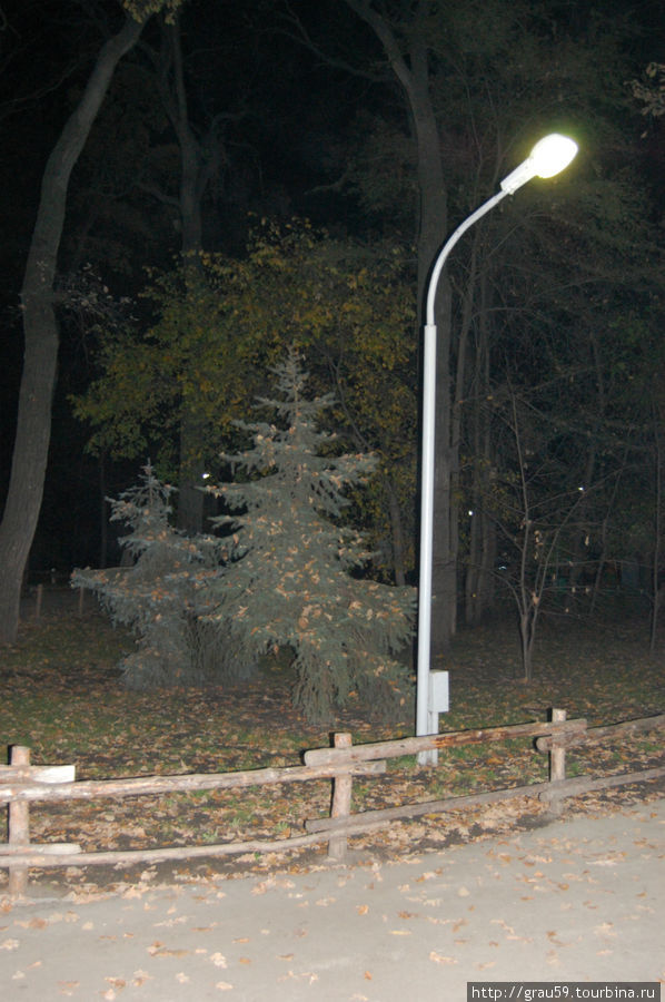 Осенний парк в свете фонарей Саратов, Россия