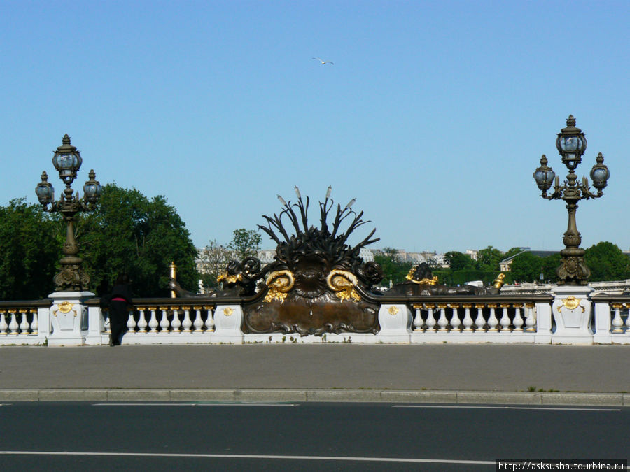 Моста Александра III — это самый богато украшенный и величественный мост Парижа. Париж, Франция