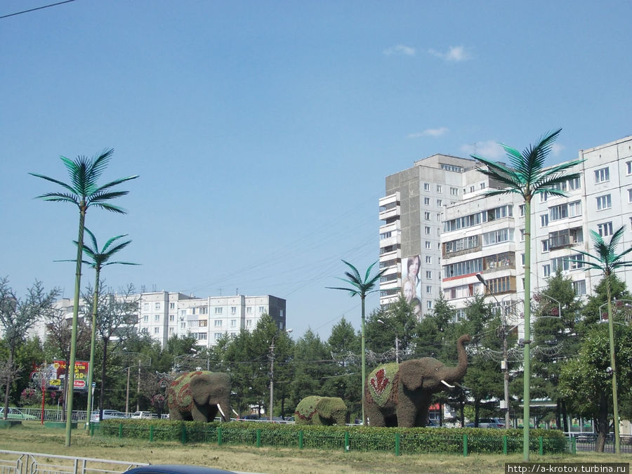 Красноярск — родина пальм и слонов Красноярск, Россия
