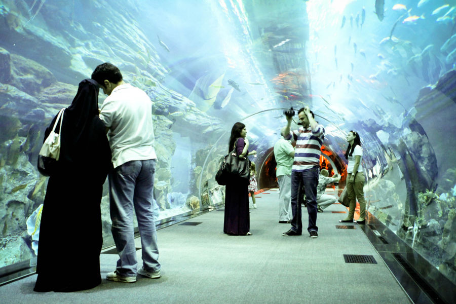 Аквариум в Dubai Mall Дубай, ОАЭ